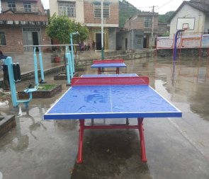柳州乒乓球臺批發(fā)，紅雙喜乒乓球臺代理