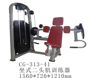 東興CG-313-41 商用坐式推肩訓練器健身房肩部推舉綜合器材推肩器二頭肌神器