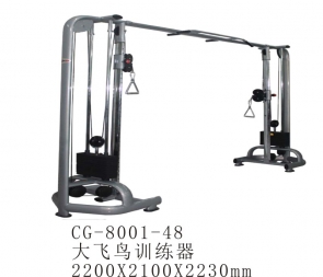 東蘭CG-8001-48大飛鳥龍門架綜合力量訓練器壁掛小飛鳥單邊靠墻商用家用健身器材